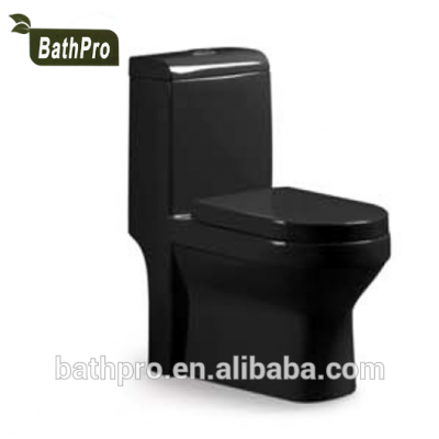 Floor Mounted Wash Down Bathroom Toilet in Black